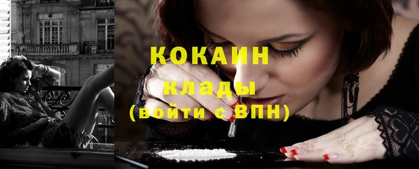 прущие грибы Мегион
