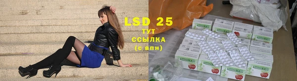 стаф Белоозёрский
