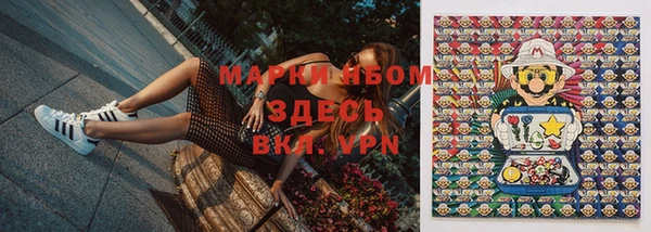 стаф Белоозёрский