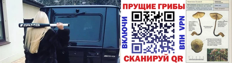 Псилоцибиновые грибы прущие грибы  Наро-Фоминск 